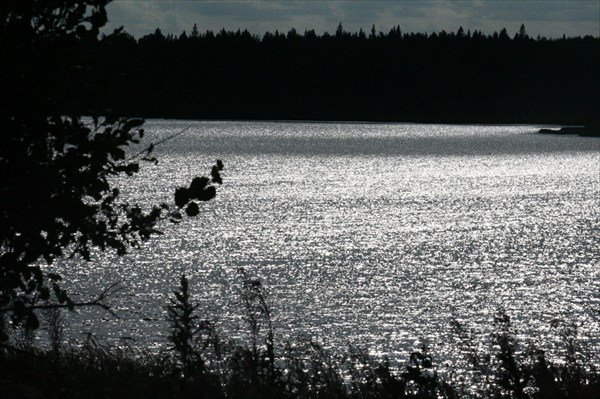 Кожозеро 147